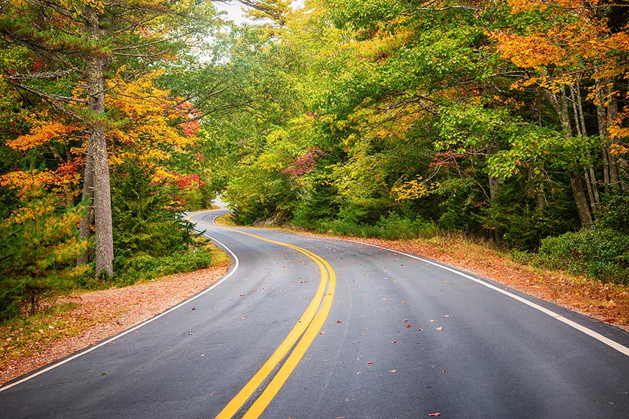 Massachusetts Insurance - Winding Road Snaked Through a Forrest, the Trees Turning Gold and Orange